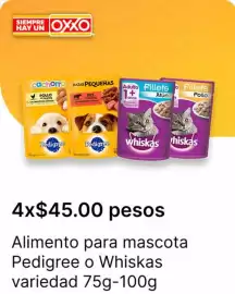 Catálogo OXXO Página 17