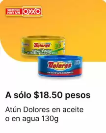 Catálogo OXXO Página 2