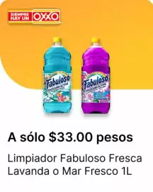 Catálogo OXXO Página 9