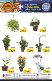 Folheto Carrefour Página 2