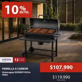 Catálogo Mimbral Página 3: Aconcagua - parrilla a carbon €107.990,00
