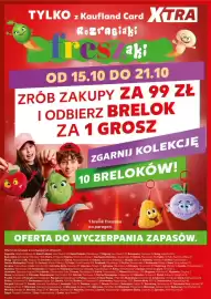 Kaufland gazetka Strona 32