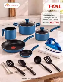 Folleto DelSol Página 13: T-fal - bateria de cocina €1.679,93