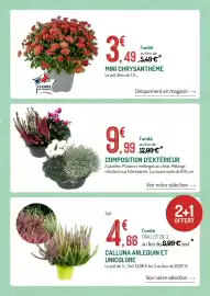 Catalogue Botanic page 3