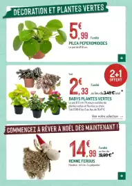 Catalogue Botanic page 7