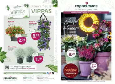 Coppelmans folder Pagina 1