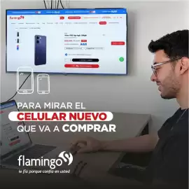 Catálogo Flamingo Página 2