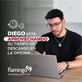 Catálogo Flamingo Página 3