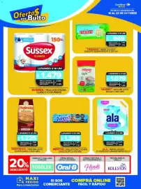 Folleto Carrefour Maxi semana 42 Página 15