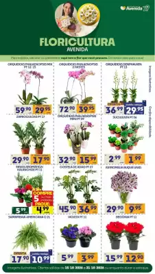 Catálogo Supermercados Avenida (válido até 21-10)