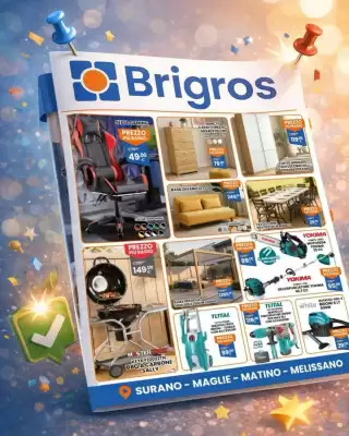 Volantino Brigros (valido fino al 27-10)