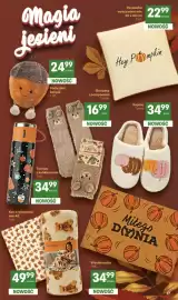 Delikatesy Centrum gazetka tydzień 42 Strona 47