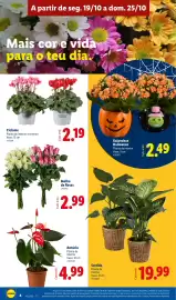 Folheto Lidl semana 43 Página 4: Ciclame €2,19, Sortido Planta de interior €19,99