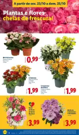 Folheto Lidl | Fim-de-Semana Página 4: Crisântemo €1,99, Crisântemo/ Multiflora €1,99