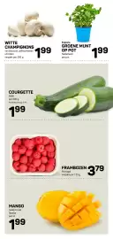 Ekoplaza folder week 43 Pagina 11: Especia GROENE MUNT OP POT €1,99, Witte champignons €1,99