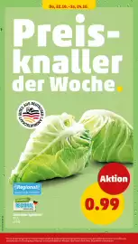 PENNY Prospekt woche 43 Seite 34