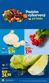 Lidl leták Strana 10