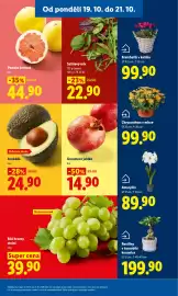 Lidl leták Strana 11