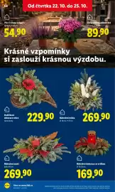 Lidl leták Strana 47: Chryzantéma velkokvětá €89,90, Náhrobní dekorace se svíčkou €169,90