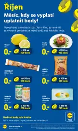 Lidl leták Strana 51