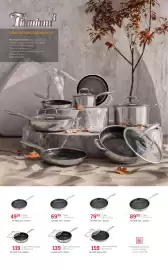 Catalog Selgros Pagină 2: Tigaie €79,99, Tigaie Wok+capac 30x8.5 cm €159,00