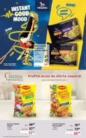 Catalog Selgros Pagină 17: Maggi Secretul Gustului Gust de găină €68,59, Maggi Secretul Gustului Legume €57,29