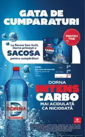 Catalog Selgros Pagină 22: DORNA Apă minerală naturală €2,79