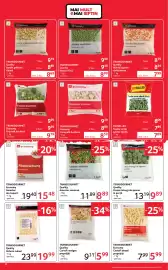 Catalog Selgros Pagină 8: TRANSGOURMET Economy Conopidă buchete €8,59, Transgourmet quality cartofi wedges preprăjiți €5,99