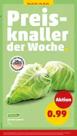 PENNY Prospekt woche 43 Seite 34