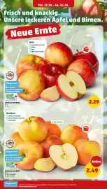 PENNY Prospekt woche 43 Seite 6
