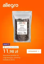 Allegro gazetka tydzień 42 Strona 3: Naturalne goździki Kol-Pol €11,98