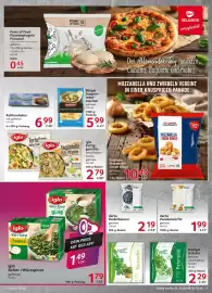 Selgros Prospekt woche 43 Seite 7: Iglo Rahm-/Würzspinat €1,49, Bürger Suppenmaul taschen €5,99