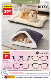 Biedronka gazetka | Hity i inspiracje - 17.10 Strona 38: Legowisko €39,99, Okulary do czytania €9,99