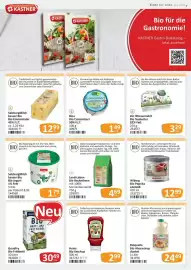 Kastner Flugblatt Seite 15