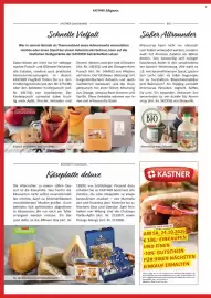 Kastner Flugblatt Seite 18