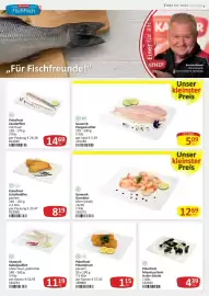 Kastner Flugblatt Seite 5