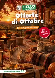 Volantino Lillo e i Vagabondi Pagina 1