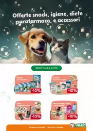 Volantino Lillo e i Vagabondi Pagina 6