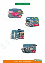Volantino Lillo e i Vagabondi Pagina 8