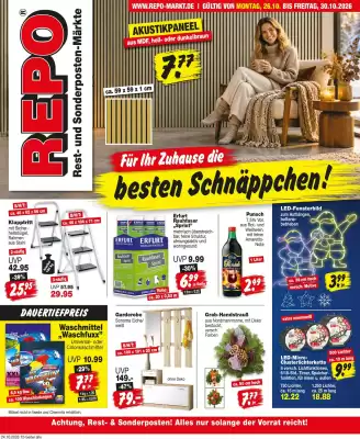 Repo Markt (gültig bis 30-10)