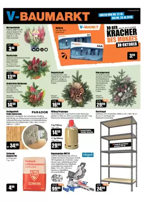 V Baumarkt (gültig bis 28-10)