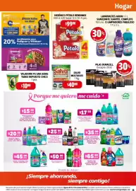 Folleto Farmacias Guadalajara Página 15