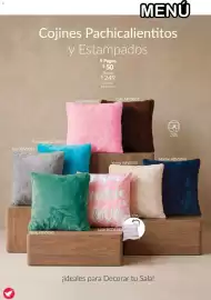 Catálogo Colchas Concord Página 162: Cojines Pachicalientitos y Estampados €249,00