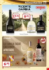 Folleto Alcampo Página 19