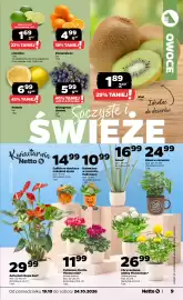 Netto gazetka tydzień 43 Strona 9: Pomarańcza luz €4,99, Limonka €1,69