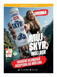 Globus leták týden 43 Strana 19