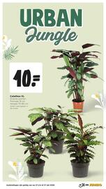 Jumbo folder week 43 Pagina 36