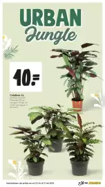 Jumbo folder week 43 Pagina 36