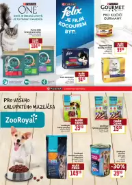 Billa leták Strana 8: ZooRoyal tyčinky pro kočky losos €19,90, ZooRoyal krmivo pro psy €39,90