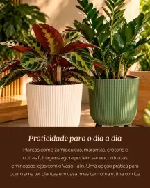 Encarte Festval semana 42 Página 2